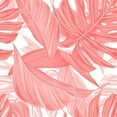 thumbnail image 3 of Kimberly, Allen 12x12 Black Modern Framed Museum Art Print Titled - Tropic Coral 1, 3 of 5