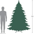 thumbnail image 3 of Northlight 7.5' Pre-Lit Slim Flocked Dunton Spruce Artificial Christmas Tree - Multi-Color Lights, 3 of 5