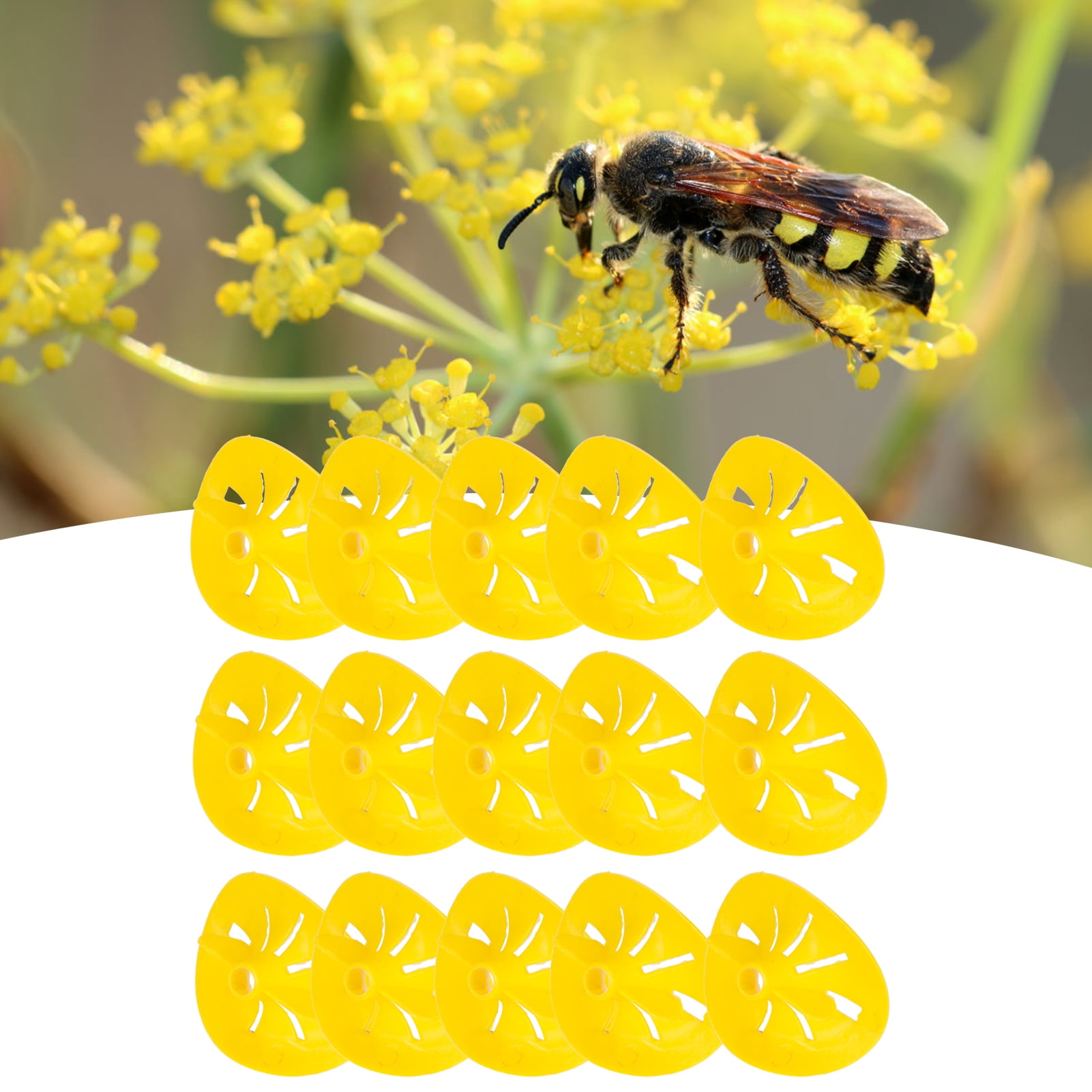 30Pcs Bee Traps Flower‑Shaped Reusable Bee Catcher Funnel Beekeeping Accessory 