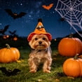 thumbnail image 6 of Qocolcyl Adjustable Halloween Dog Cat Hat, Soft Breathable Orange Pumpkin Mesh Party Costume, Cute Festive Cosplay Photo Accessory, Comfortable Pet Headwear for Indoor Outdoor Halloween Decorations, 6 of 6