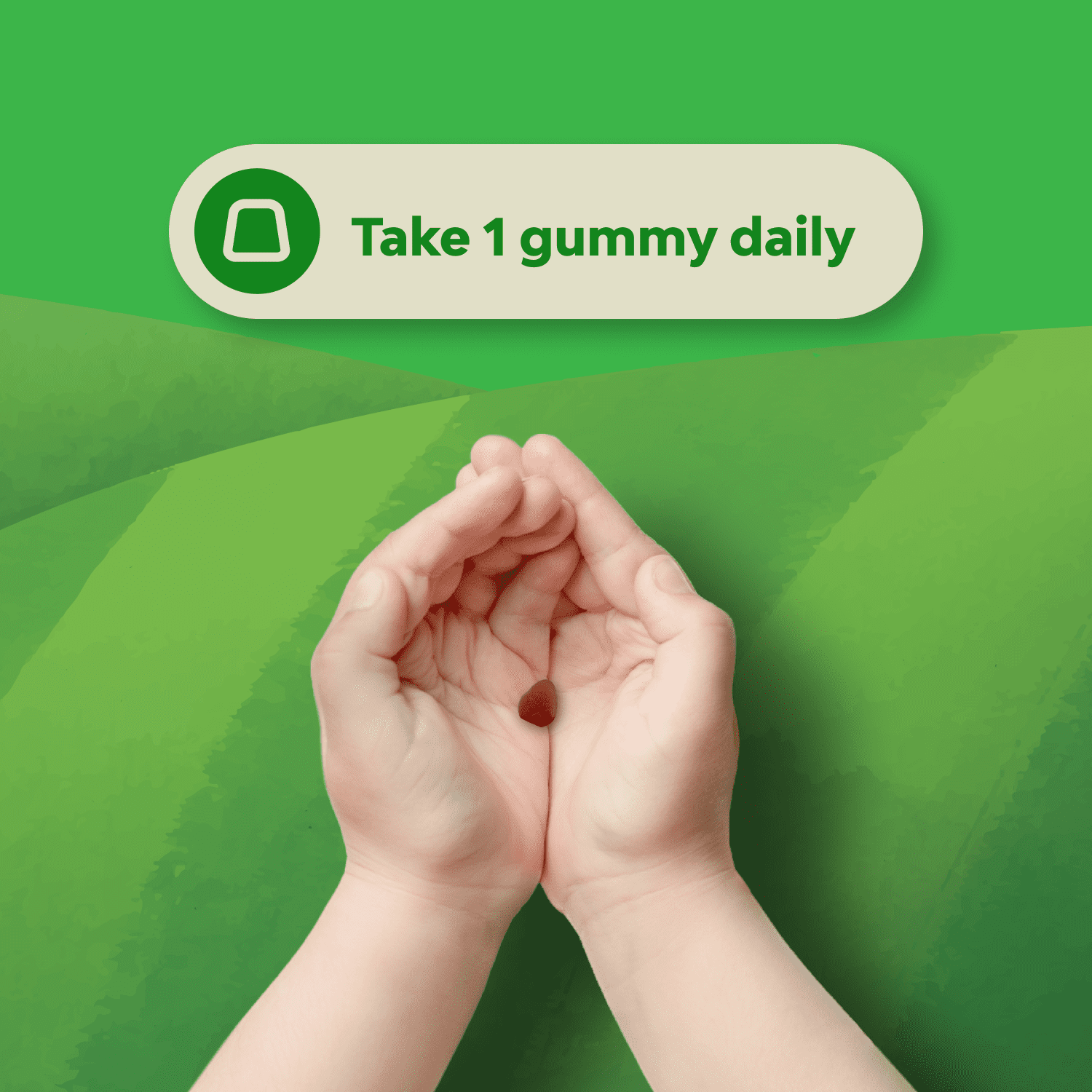 Natures Craft Organic Probiotic Gummies for Kids, Digestive Health Support, Strawberry, 60 Gummies