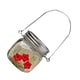 thumbnail image 1 of Greeniant Alimentador de pájaros, puertos de alimentación, tarro colgante, decoraciones de jardín, tamaño compacto, exquisitos accesorios de Juguetes para pájaros, 1 of 6