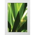 thumbnail image 3 of Erin Berzel 23x32 White Modern Wood Framed Wall Art Titled - Leaves and Light I, 3 of 5