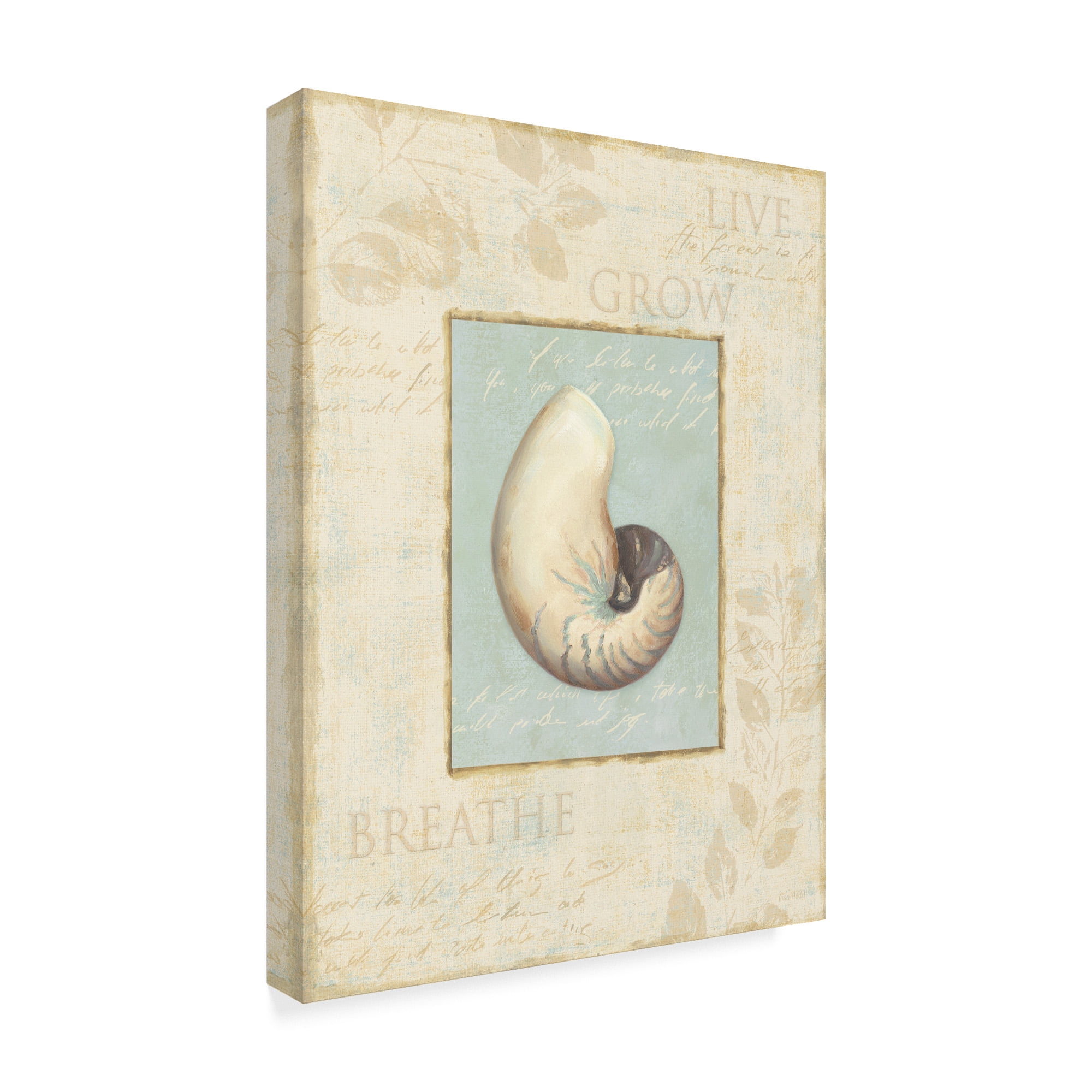 Trademark Fine Art 'Soothing Words Shells II' Canvas Art by Lisa Audit