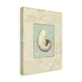 thumbnail image 2 of Trademark Fine Art 'Soothing Words Shells II' Canvas Art by Lisa Audit, 2 of 3