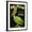Black Frame, variant on Art.com King Pelican Brand Lettuce Giclee Print, 18" x 24"