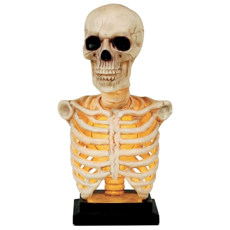 16 Skeleton Bust on Stand Plastic Halloween Tabletop Decoration