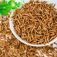 thumbnail image 2 of RIDWIND 100% Non-GMO Dried Mealworms 10OZ High-Protein Treats Natural Animal Feed for Birds Chicken Turtles Fish Hamsters Hedgehogs, 2 of 8