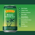 Reed's Real Ginger Ale Soda Pop, 12 Fl Oz, 8 Pack Cans