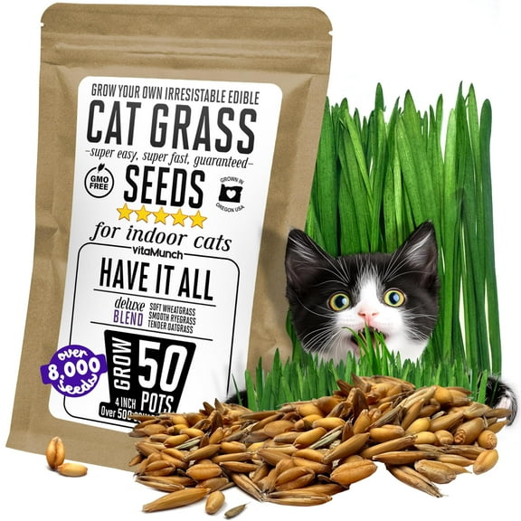 Cat Grass Seeds Deluxe Blend - MVR1 Tender, Smooth and Grows 50 Pots of Fresh Cat Grass for Indoor Cats - Easy & Fast to Grow Bulk Rescuer's Pack Grows 600 Square inches of Edible cat Grass