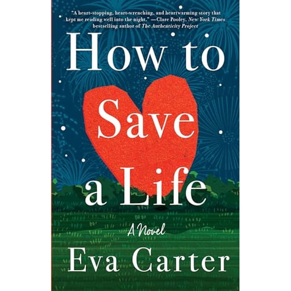 Pre-Owned How to Save a Life (Paperback) 0593158881 9780593158883