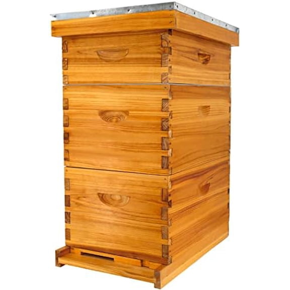 8 Frame Bee Hive Kit, Langstroth Bee Hives Boxes Starter Kit for Beekeepers Dipped in Beeswax Includes 2 Deep Brood Box & 1 Medium Super Bee Box with Beehive Frames and Waxed Foundations