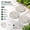 3., variant on Outdoor River Rock Stepping Stones for Garden Walkway, 12 Inch Diameter, 5 Pack Round Pebble Paver Stones for Yard Lawn Patio Path Pathway