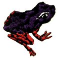 thumbnail image 1 of Patch - Animals - Tree Frog Iron On Gifts New Licensed p-0243, 1 of 1