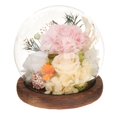 thumbnail image 3 of Regalo para el Día de la Madre, Regalo de Flores Preservadas, Regalo de Clavel para Mujeres, Regalo de Clavel champán, 3 of 9