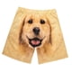 thumbnail image 3 of Pantalones cortos de verano Yuyangstore Bañadores cortos estampados causales para hombres L, 3 of 8