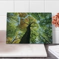 thumbnail image 2 of Tree Cutting Board, Forest in Autumn Green Nature Deciduous Foliage Growth Eco, Decorative Tempered Glass Cutting and Serving Board, Small Size, Dark Brown Pale Green, by Ambesonne, 2 of 5