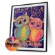 thumbnail image 1 of Cuadros Decorativos Pareja de búhos de dibujos animados 5D DIY Kits de pintura de diamantes Taladro cuadrado completo (40x50cm) Sywqhk Nuevos Originales, 1 of 1