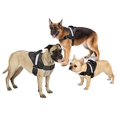 thumbnail image 2 of Guardian Gear ZA6223 14 17 Excursion Harness 15-19 In Black, 2 of 4