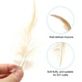 thumbnail image 3 of Uxcell Saddle Hackle Rooster Feathers 4-6", Rooster Feathers Loose Hackle Feather, Feather Color 100 Pcs, 3 of 6