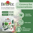 thumbnail image 3 of Burpee Heirloom Vegetable Garden Collection- 15,000+ Seeds - Annual Lifecycle, Full Sun, 3 of 7