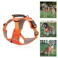 Drag Bag For Disabled Dogs Belly Bands For Dogs With Snaps Cat Walking drag-bag-for-disabled-dogs-belly-bands-for-dogs-with-snaps-cat-walking