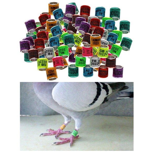 Paquete de 100 anillos de piezaza de carreras de aluminio de 8 mm para polluelos de aves Bantam Quail Mezcla Colco Bandas para piernas de paloma