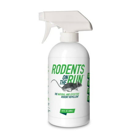 Rodents on the Run Natural Indoor and Outdoor Pest Control and Mice (The Best Mouse Repellent)