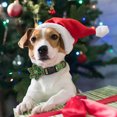 thumbnail image 4 of Pet Artist Christmas Nylon Dog Collar with Removable Flower Adjustable for Small Large Dogs, 4 of 11