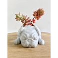 thumbnail image 2 of Doggy Planter Pug Planter Gift Idea, Bar Decor, Table Decor, Plant Gift Idea, Cute Succulent Planter, any canine/dog/Pug and plant lover! Twinkling Black, 2 of 5