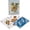 Blue, variant on Da Brigh Russian Style Deck Playing Cards, Red
