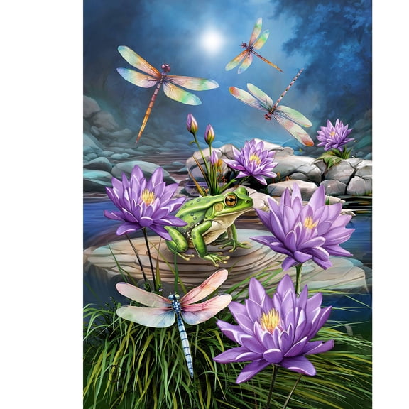 Briarwood Lane Summer Garden Flag 12x18 For Outdoor Dragonflies and Frog For Summer Garden Flag Flags For Outside