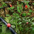thumbnail image 5 of Goutteurs d'Irrigation, 100 Pcs Arroseurs Réglables Kits de Système d'Irrigation Goutte à Goutte Micro Flux Tête d'Irrigation Buses de Brumisation, 5 of 5