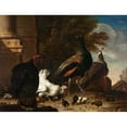 thumbnail image 3 of Melchior d'Hondecoeter 14x12 Black Modern Framed Museum Art Print Titled - A Hen with Peacocks and a Turkey (C. 1680), 3 of 5