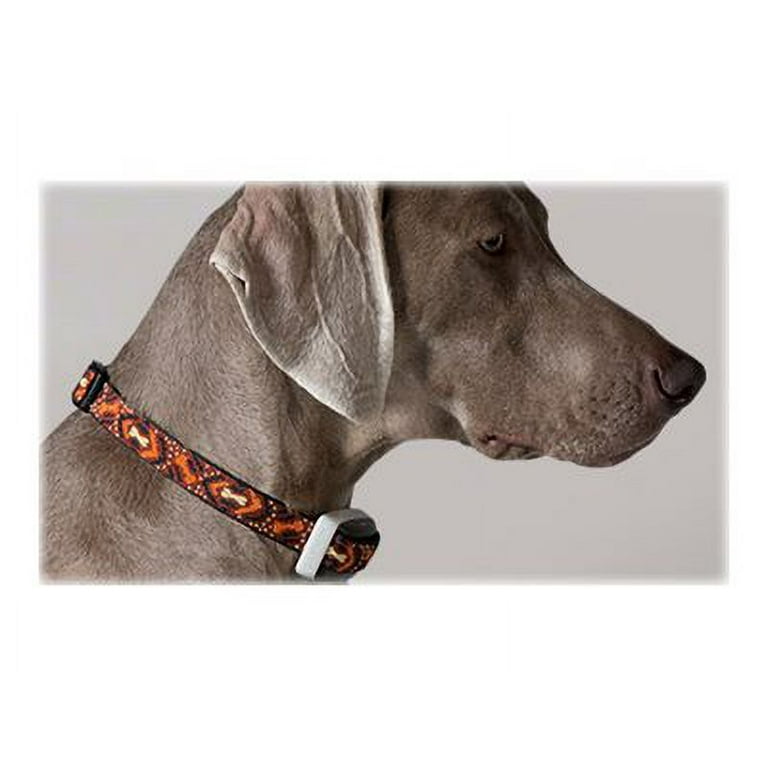 Delta smart dog training system 2025