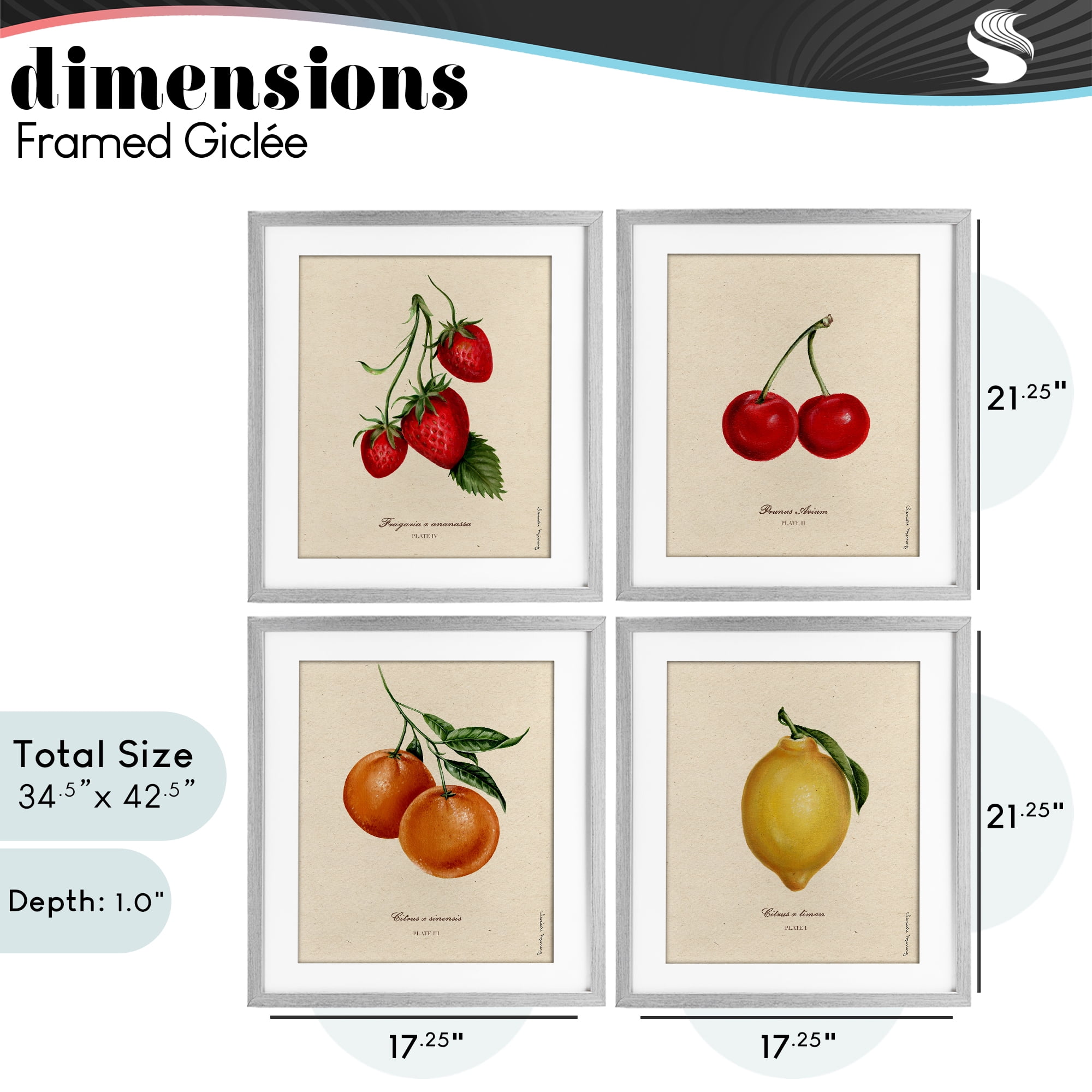 Stupell Industries Vintage Fruit Portraits 4 Piece Gray Framed Print Under Glass Set, design by Danielle Murray