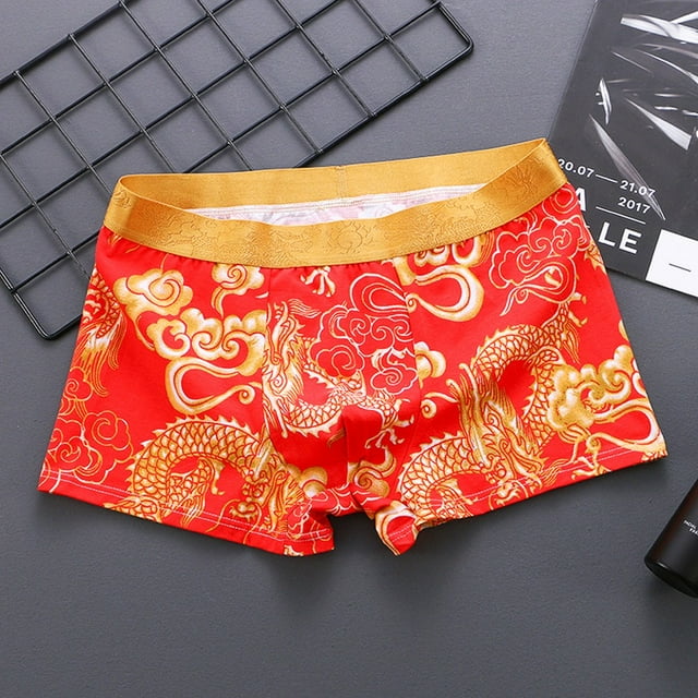 MYG Men Boxer Briefs Underwear Dragon pattern Loose Fit Comfortable Breathable
