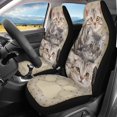 thumbnail image 2 of Xoenoiee American Shorthair Cats Print Car Seat Cover Lightweight Auto Accessories for Car Set of 2 Seat Cover with Soft Polyester Fabric, Easy to Wash, 2 of 6