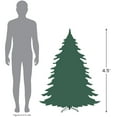 thumbnail image 3 of Northlight Slim Winston Pine Artificial Christmas Tree - 4.5' - White - Unlit, 3 of 3