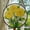 Marigold Flower, variant on Marigold Flower Stained Glass Suncatcher, Marigold Light Catcher Window Wall Hanging, Yellow Flower Lover Gardening Decor, Garden Lover Gift, Stained Glass Ornament 2025, Holiday