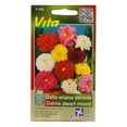 thumbnail image 1 of Semillas De Dalia Enana Víta 1.3 Gr Multicolor, 1 of 3