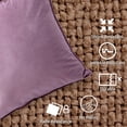 thumbnail image 4 of 2 uds uso sala de estar sofá almohada-almohada con núcleo de almohada-decoración de granja-terciopelo, 4 of 6