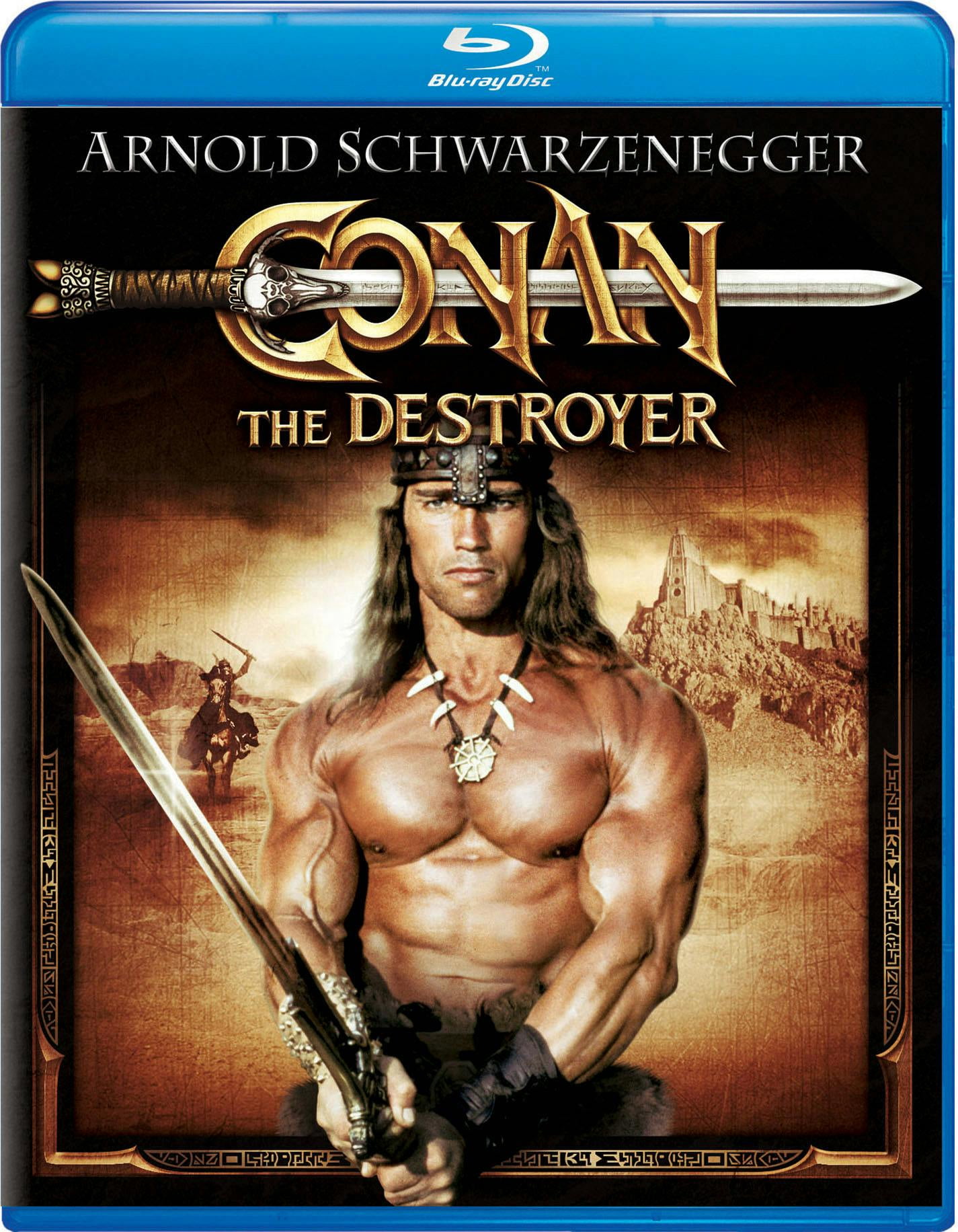 Plaque Décorative 3D Conan Le Barbare - 20cm De Long - Multicolore