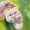 A, variant on Squeaky Cat Plush Keychain - Cute Stuffed Animal Hanging Charm for Bag and Keys, Soft Kitty Toy with Sound for Machine – One Size (2.8 x 1.6 x 4.7 Inches)