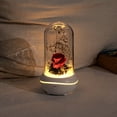 thumbnail image 4 of RKZDSR LED Rose Night Light Aroma Diffuser with Everlasting Silk Rose Flower - Humidifier and Lamp Diffuser Combo, 4 of 6