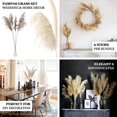 thumbnail image 4 of Efavormart 6 Pack | 32" Dried Wheat Pampas Grass Plant Stems, Grass Spray Decor, 4 of 11