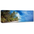thumbnail image 2 of Trademark Fine Art 'Palm Landscape' Canvas Art by Doug Cavanah, 2 of 3
