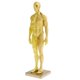 thumbnail image 1 of de Anatomía Masculina de 11 Pulgadas - Músculo Y Modelo Anatómico Escultura de Pintura, Referencia Anatómica para Artistas - M, 1 of 8