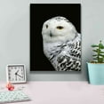 thumbnail image 4 of Epic Graffiti 'Snowy Owl' by Epic Portfolio, Giclee Canvas Wall Art, 12"x16", 4 of 8