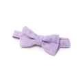 thumbnail image 2 of Spring Notion Boys' Mottled Linen Bow Tie, 2 of 5
